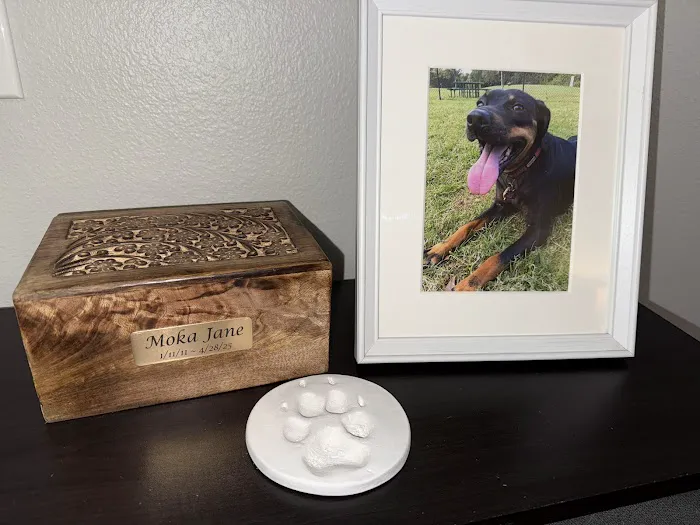 Pet Angel Memorial Center Picture 4