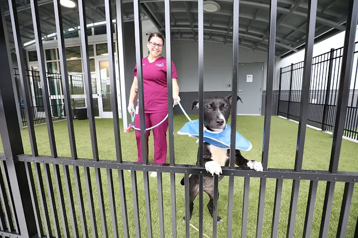 BluePearl Pet Hospital Picture 9