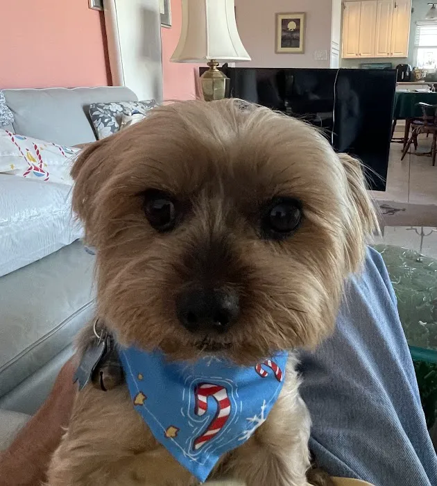 BluePearl Pet Hospital Picture 7