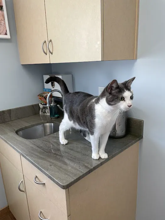 Furry Friends Veterinary Center Picture 5