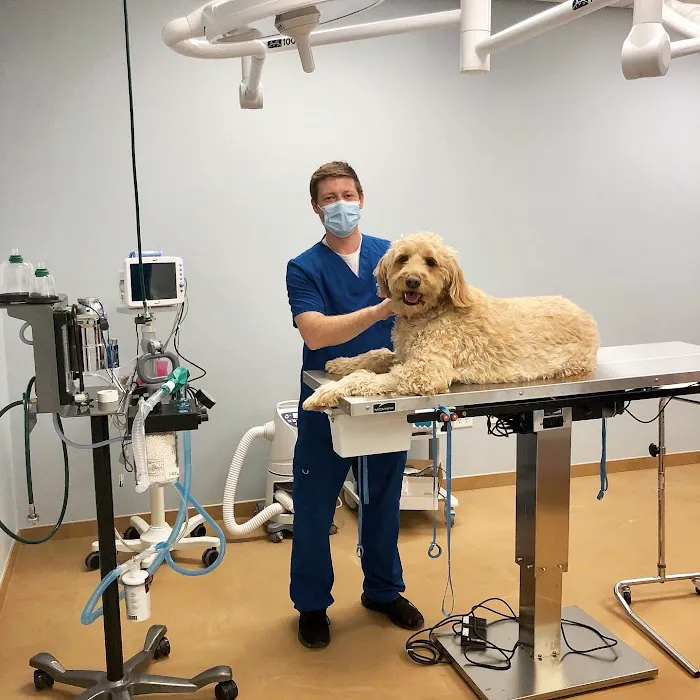 Furry Friends Veterinary Center Picture 7