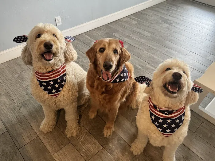 Furry Friends Veterinary Center Picture 2
