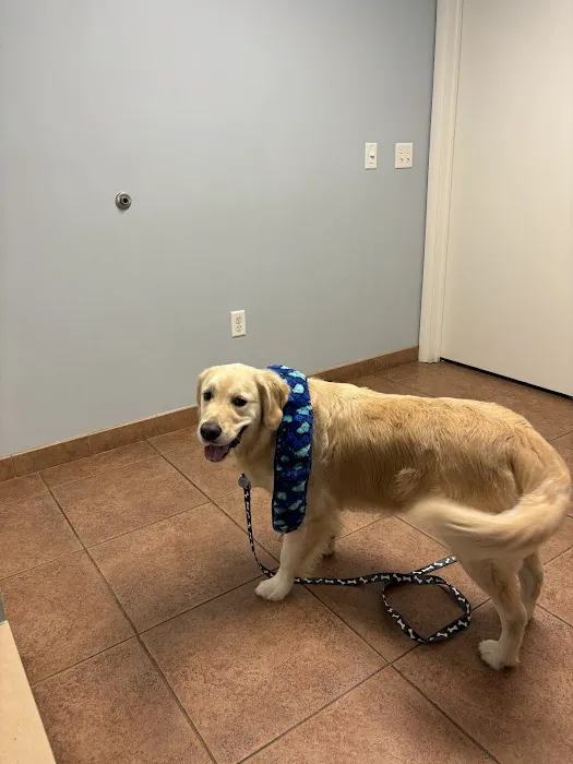 Furry Friends Veterinary Center Picture 3