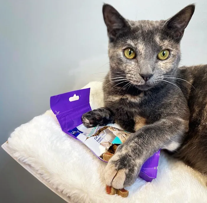 Furry Friends Veterinary Center Picture 8