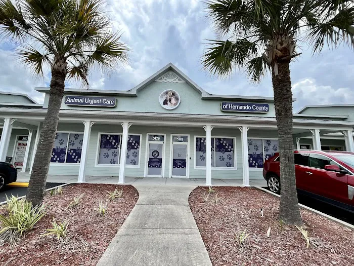 Animal Urgent Care of Hernando County Picture 3