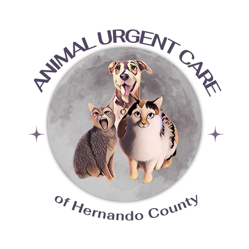 Animal Urgent Care of Hernando County Picture 4
