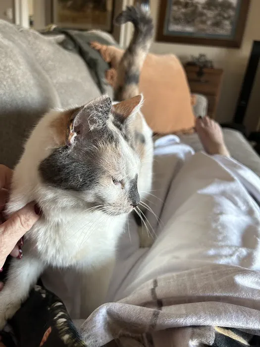 Vetco Total Care Animal Hospital Picture 1