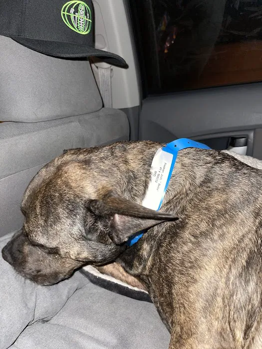 Vetco Total Care Animal Hospital Picture 4