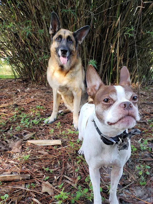 Vetco Total Care Animal Hospital Picture 2