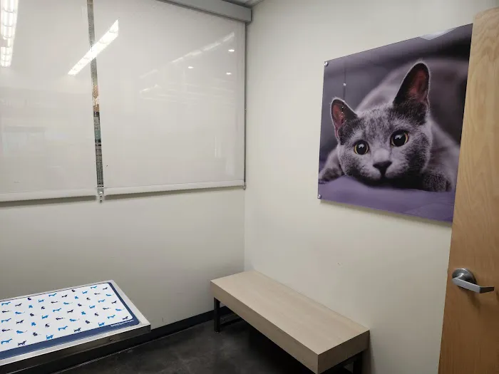 Vetco Total Care Animal Hospital Picture 10