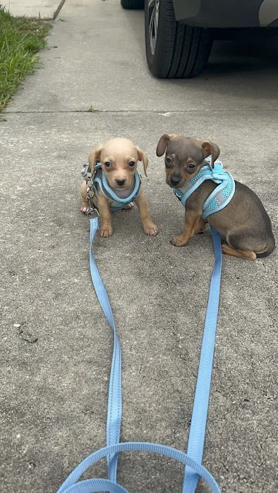 Vetco Total Care Animal Hospital Picture 6