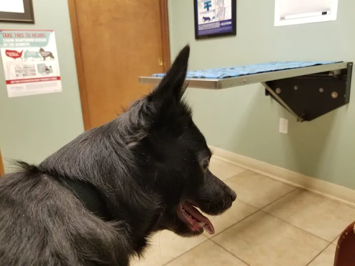 Animal Health Veterinary Clinic Picture 1