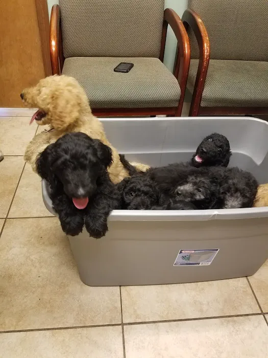 Animal Health Veterinary Clinic Picture 3