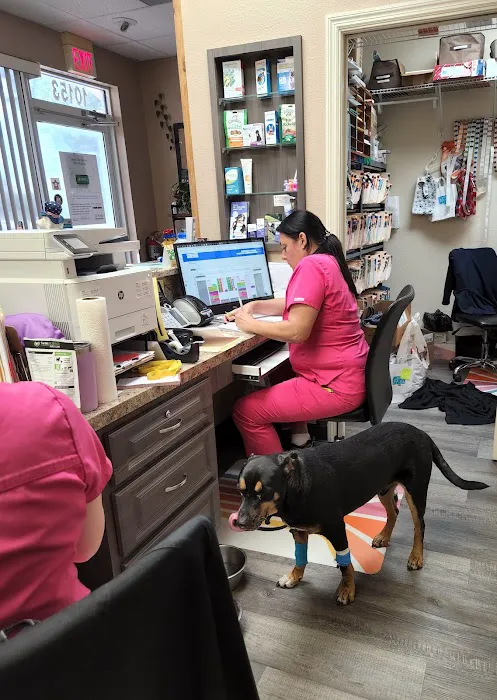 Nature Coast Animal Wellness and Surgical Center Picture 6