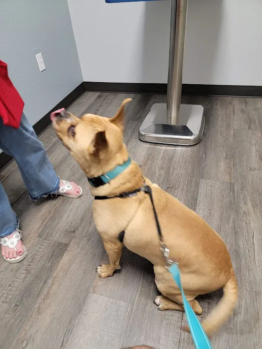 Nature Coast Animal Wellness and Surgical Center Picture 5