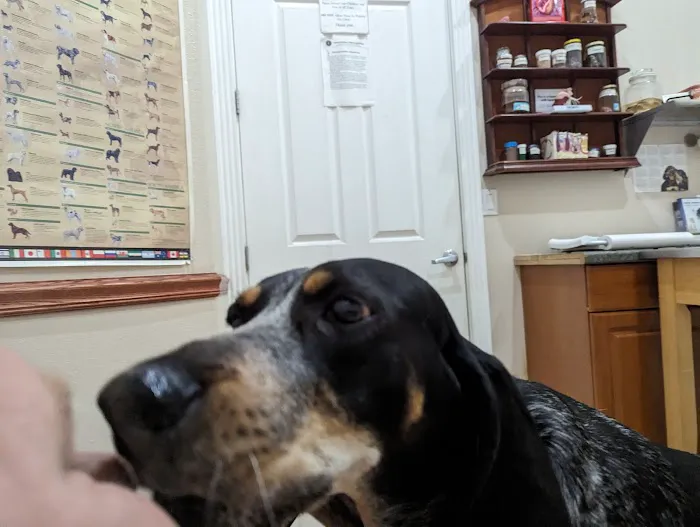 Three Oaks Veterinary Wellness Center Picture 8