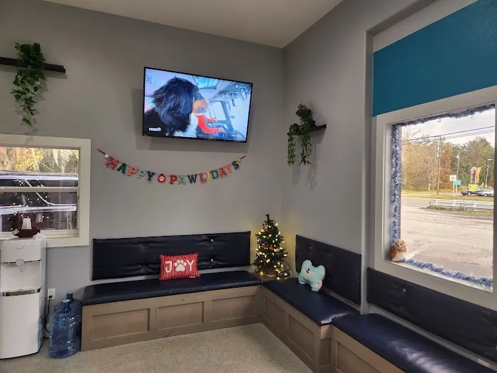 Three Oaks Veterinary Wellness Center Picture 9