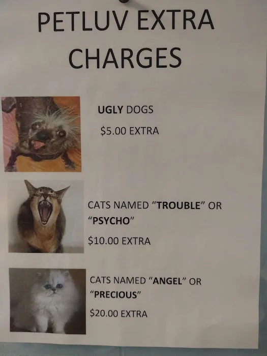 Pet Luv Non Profit Spay Center Picture 1