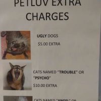 Pet Luv Non Profit Spay Center ico