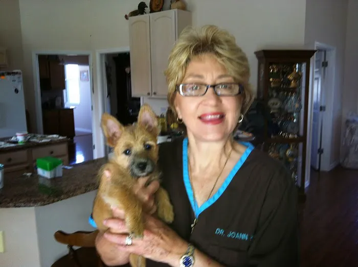 A Vet to Your Pet Picture 2