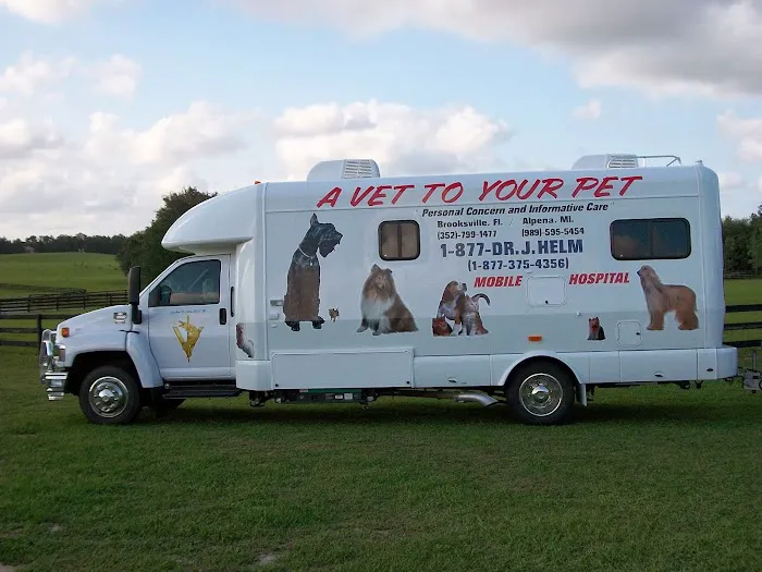 A Vet to Your Pet Picture 3