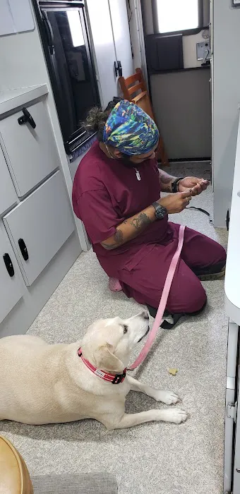 Wags & Whiskers Mobile Veterinary Practice Picture 4