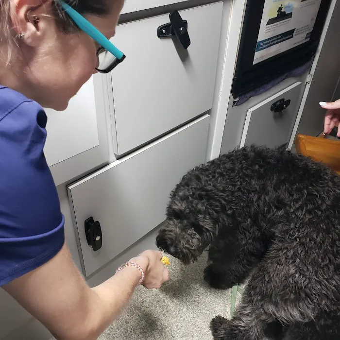Wags & Whiskers Mobile Veterinary Practice Picture 3