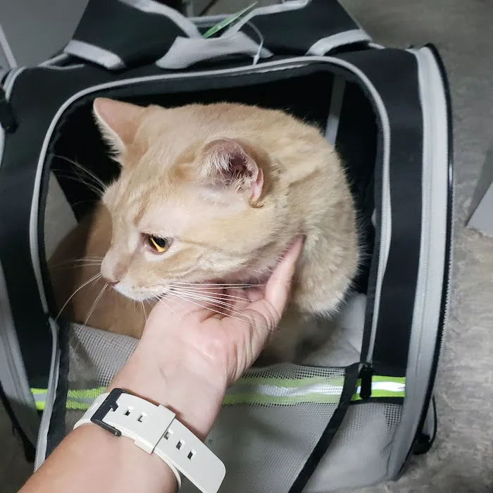 Wags & Whiskers Mobile Veterinary Practice Picture 8