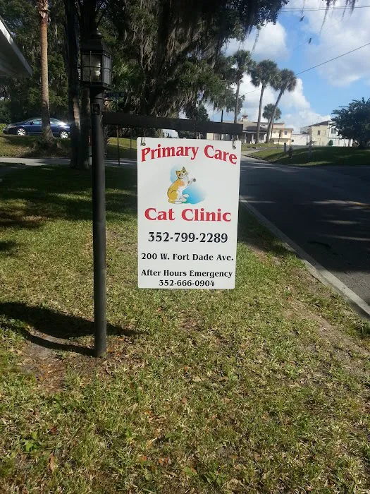 Primary Care Cat Clinic Picture 10