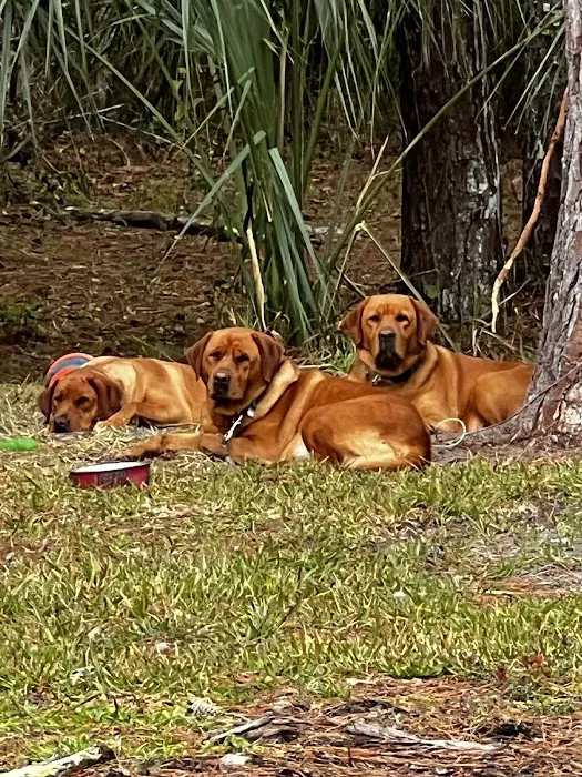 All County Animal Hospital Picture 8