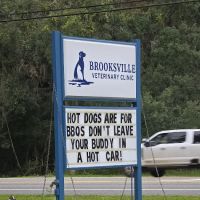 Brooksville Veterinary Clinic ico