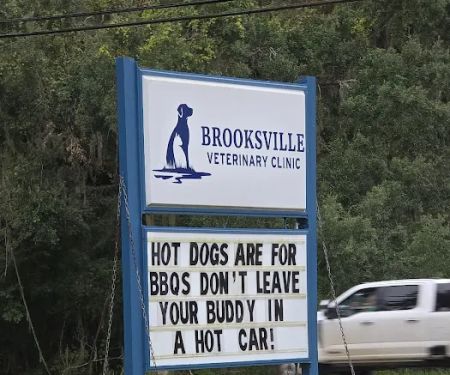 Brooksville Veterinary Clinic