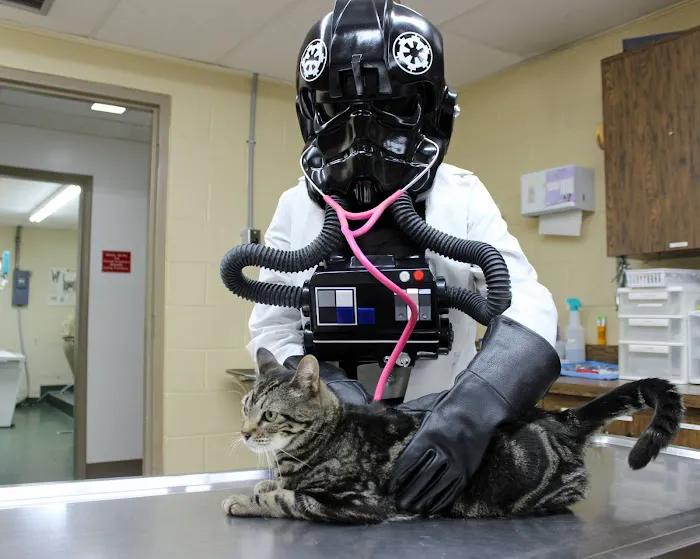 Brooksville Veterinary Clinic Picture 7