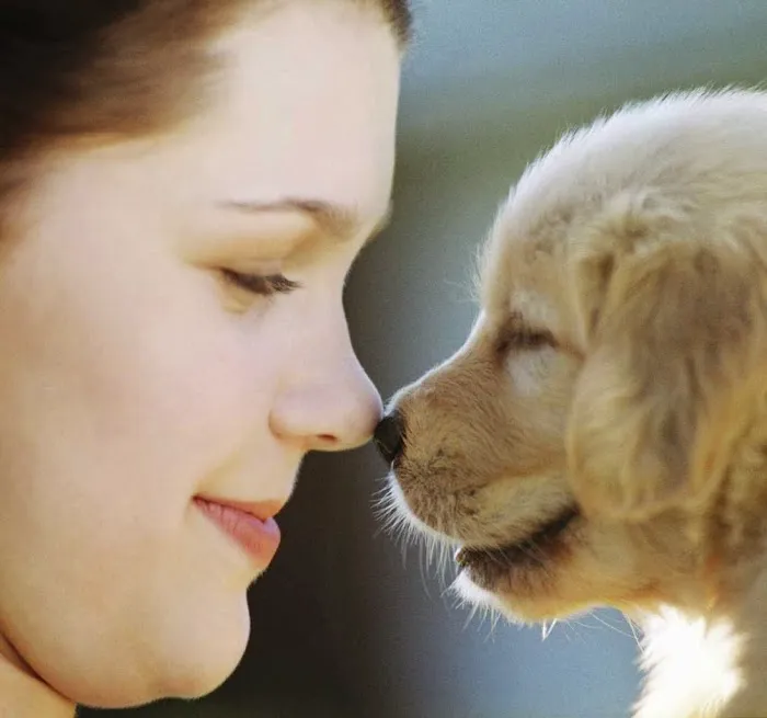 New Prague Animal Care Picture 3