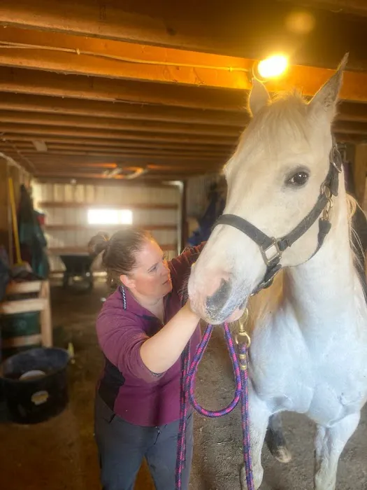 Serenity Veterinary Acupuncture LLC Picture 2