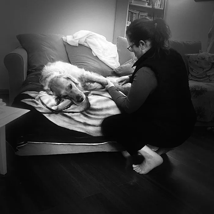 Serenity Veterinary Acupuncture LLC Picture 10