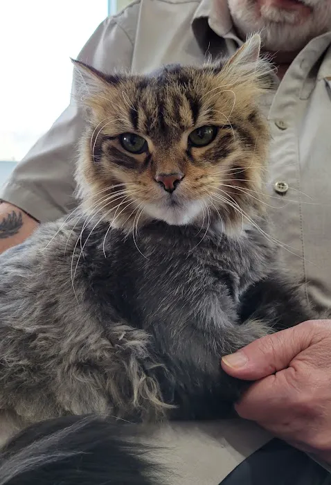 Elite Pawz Veterinary Clinic Picture 1