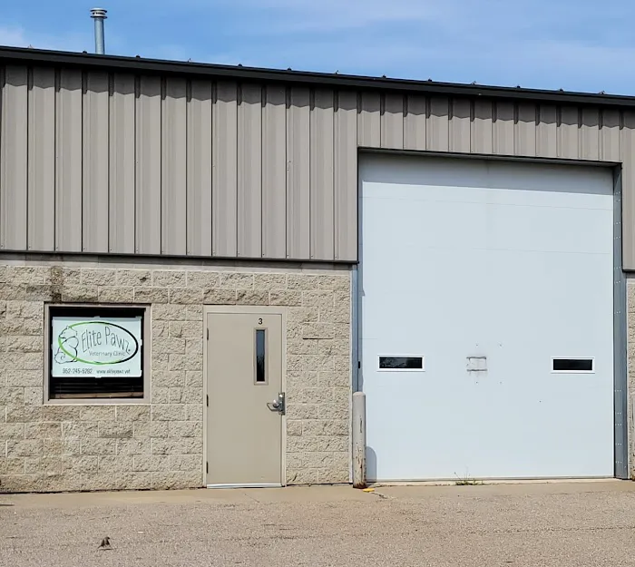 Elite Pawz Veterinary Clinic Picture 8
