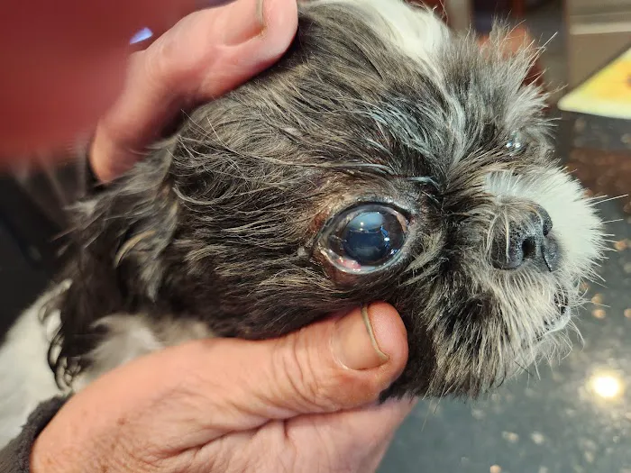 Magnusson Veterinary Services Picture 4