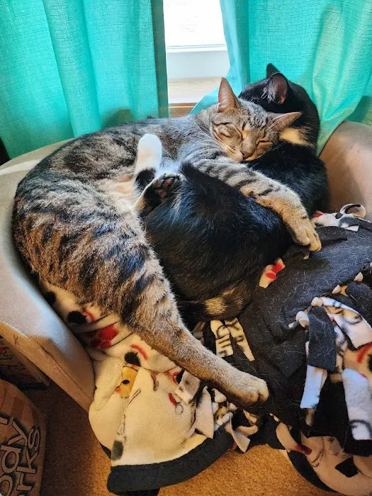 Interstate Veterinary Hospital Picture 4