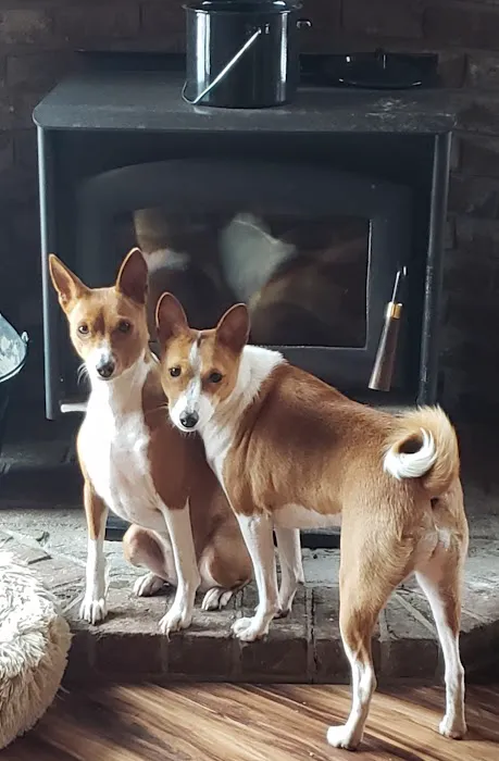 Interstate Veterinary Hospital Picture 2