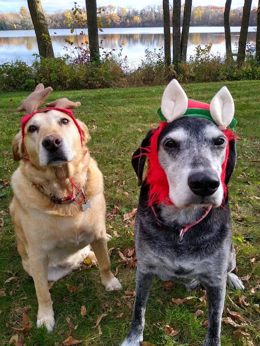 Interstate Veterinary Hospital Picture 3