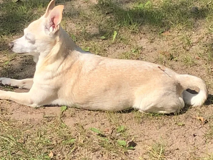 Interstate Veterinary Hospital Picture 1