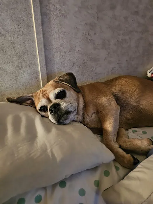 Interstate Veterinary Hospital Picture 5