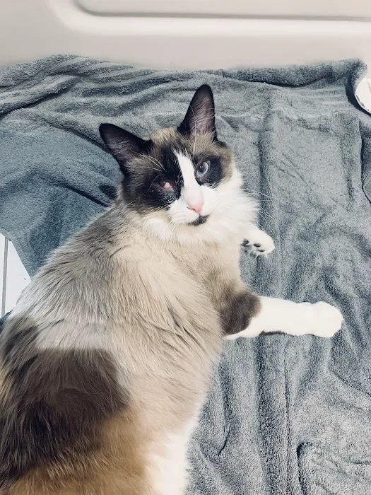 Interstate Veterinary Hospital Picture 6