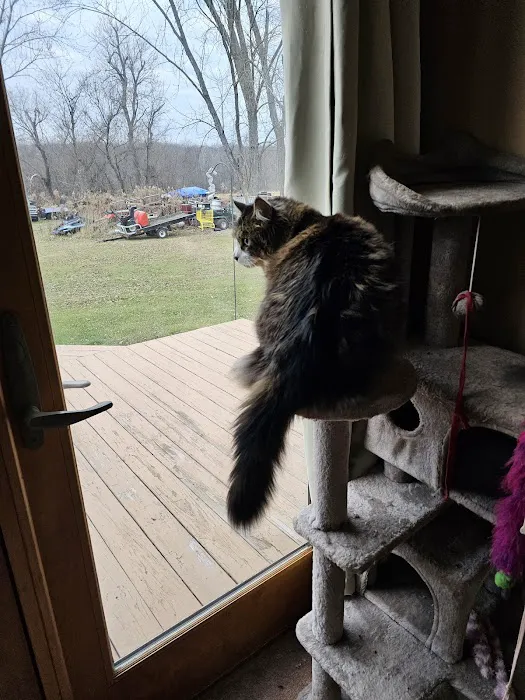 Interstate Veterinary Hospital Picture 8