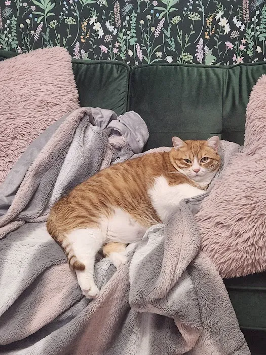 Interstate Veterinary Hospital Picture 7