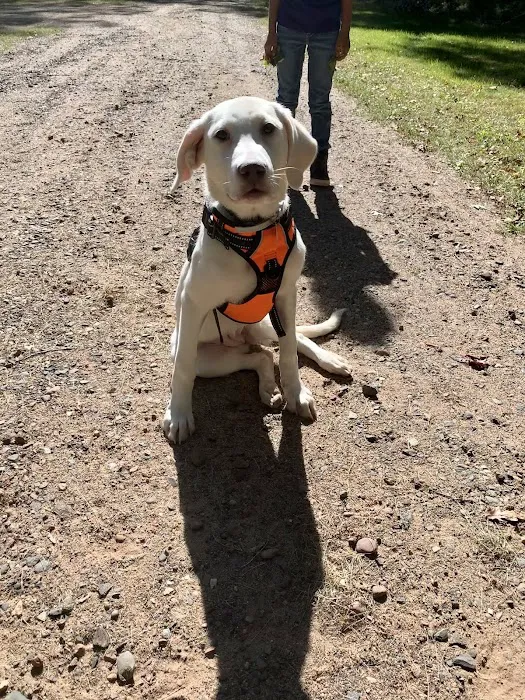 Interstate Veterinary Hospital Picture 10