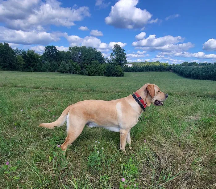 Interstate Veterinary Hospital Picture 9