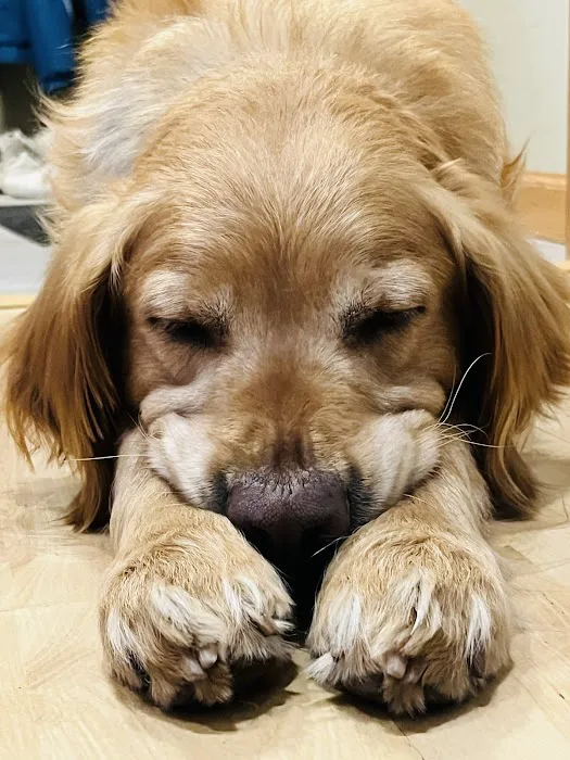 Somerset Animal Hospital Picture 8